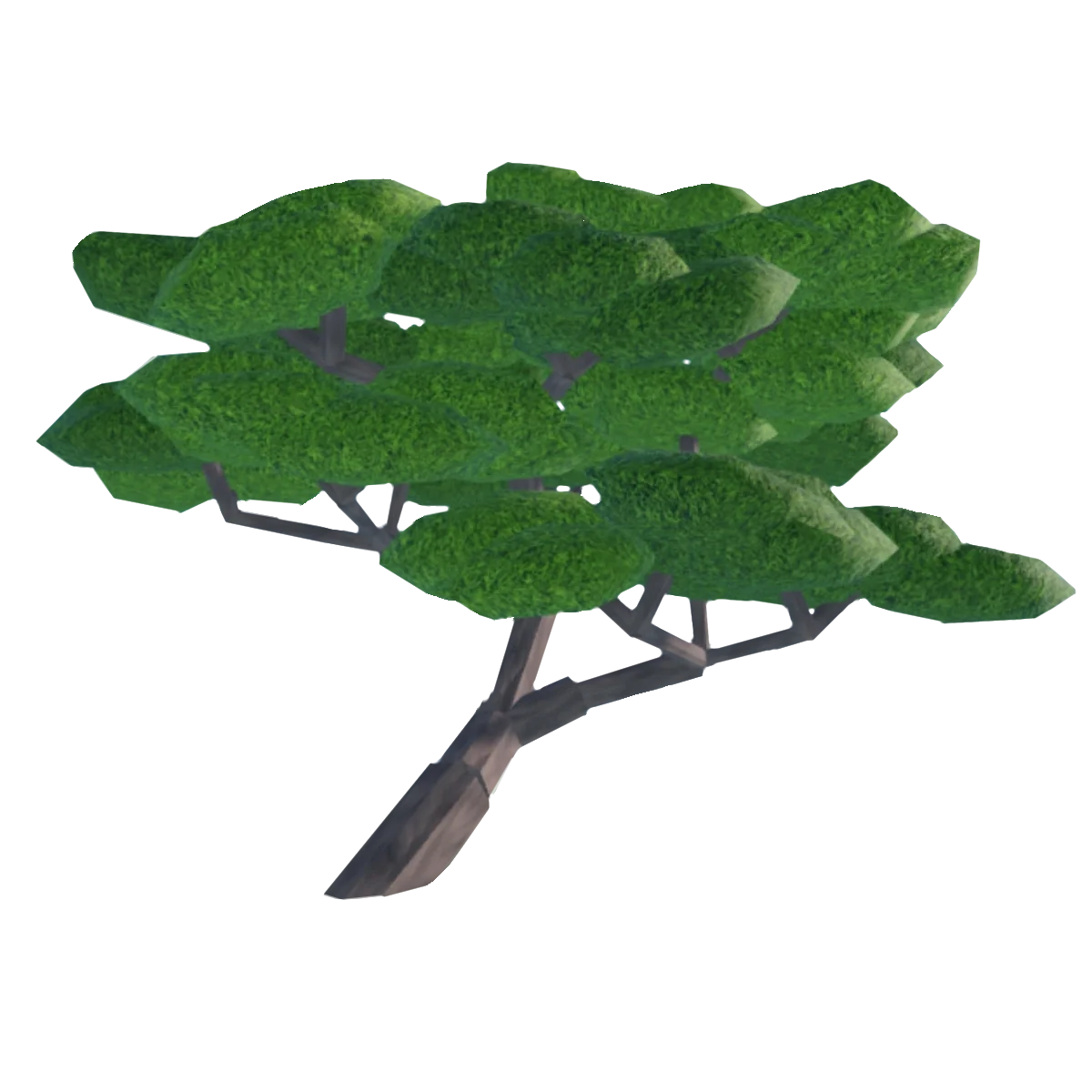 Juniper artwork