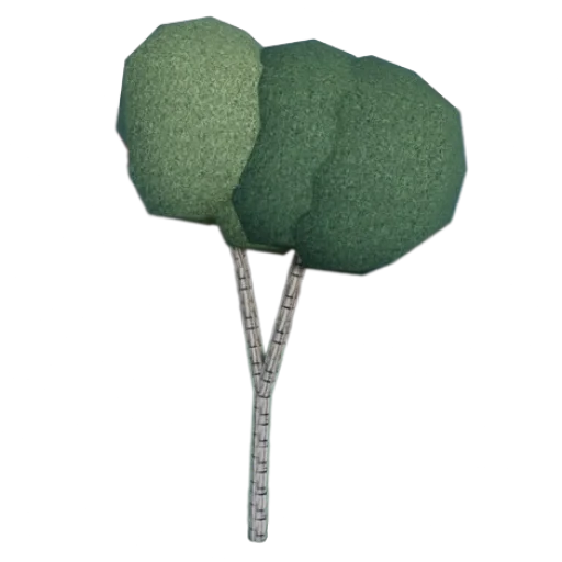 Birch artwork