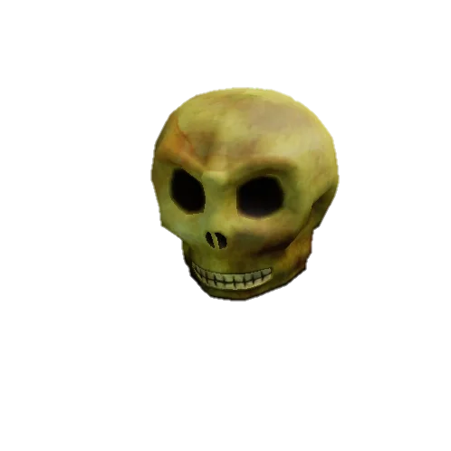 Skull artwork