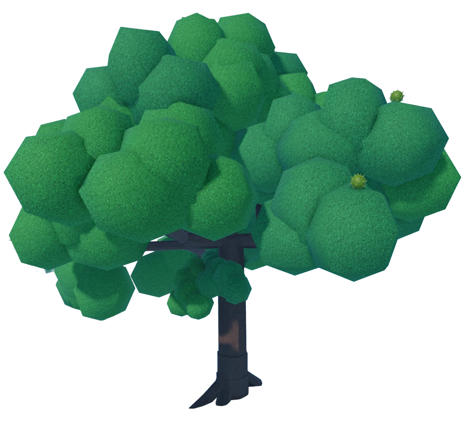 Chestnut artwork