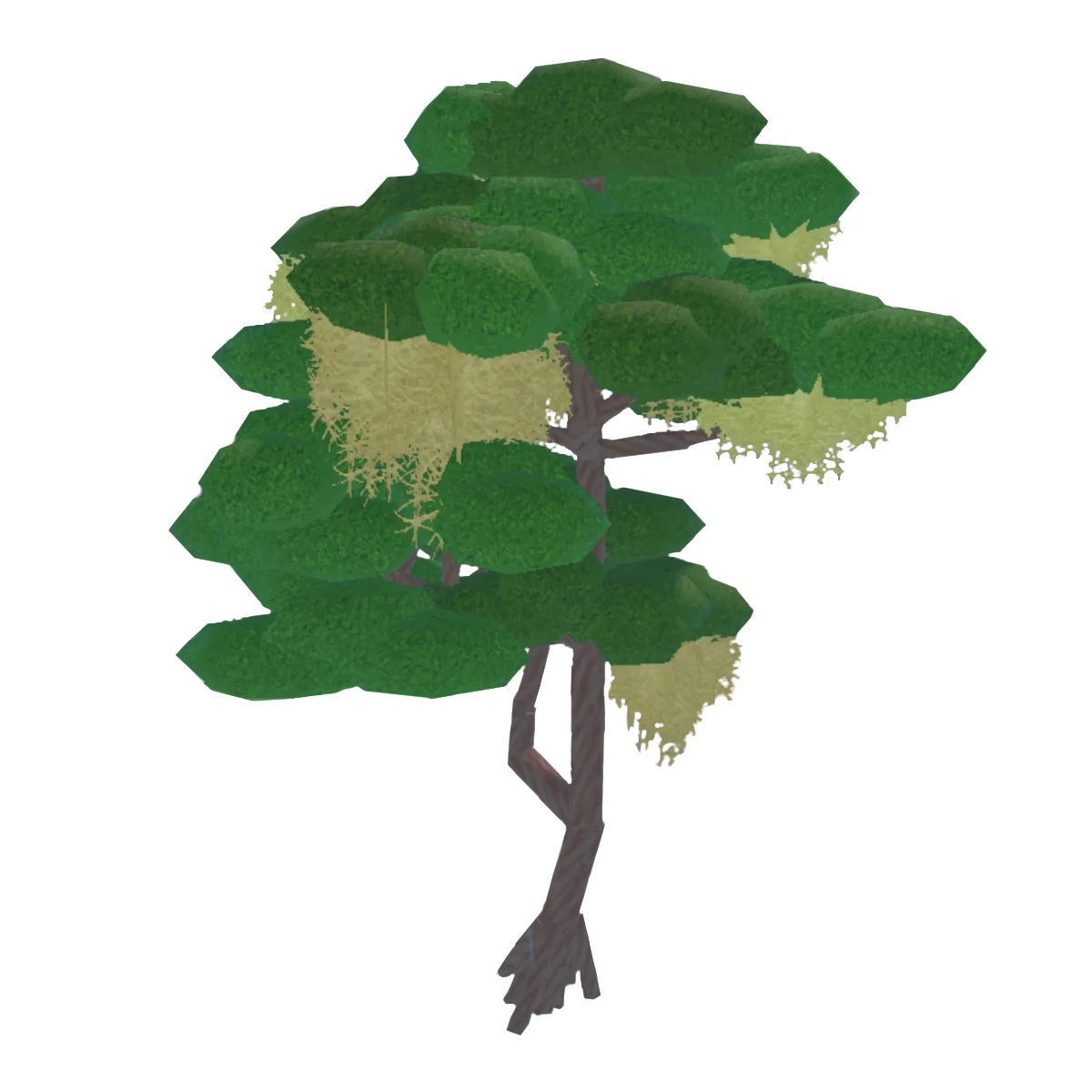 Cypress artwork