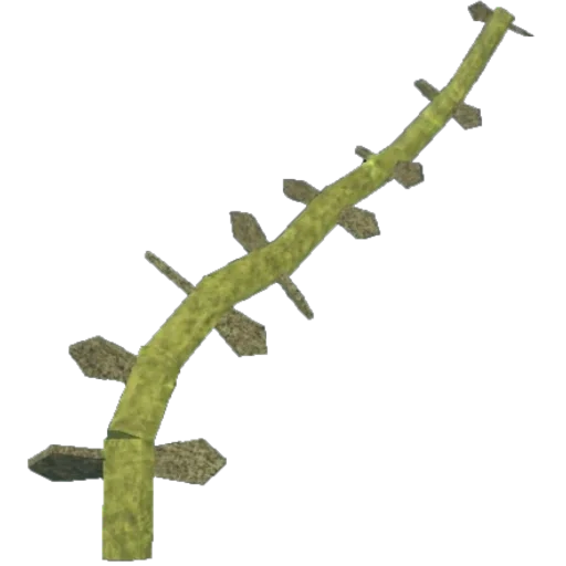 Eel Kelp artwork