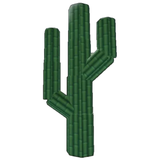 Cactus artwork