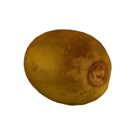 Kiwi artwork